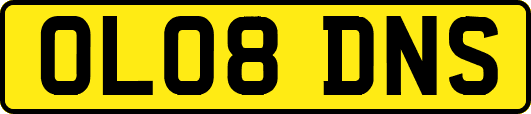 OL08DNS