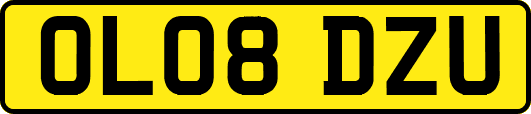 OL08DZU