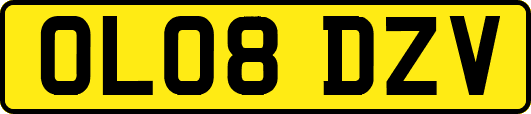 OL08DZV