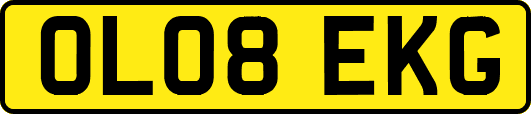 OL08EKG