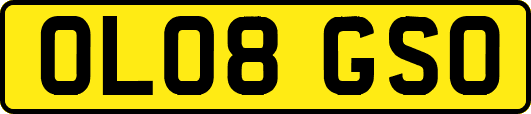 OL08GSO
