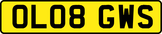 OL08GWS