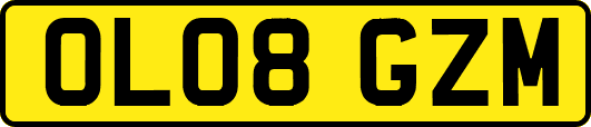 OL08GZM
