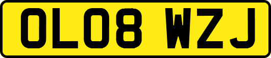 OL08WZJ
