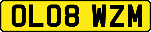 OL08WZM