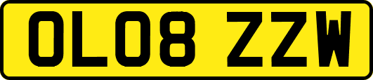 OL08ZZW