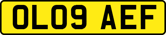 OL09AEF