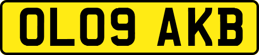 OL09AKB