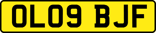 OL09BJF