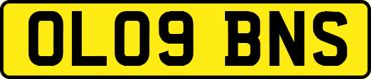 OL09BNS