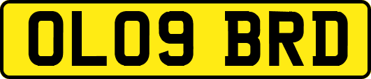 OL09BRD