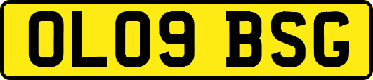 OL09BSG