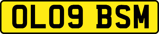 OL09BSM
