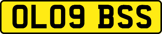 OL09BSS