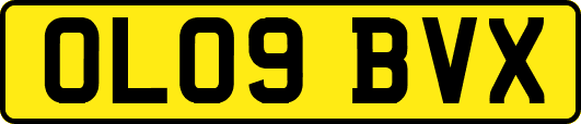 OL09BVX