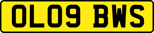 OL09BWS