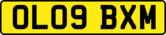 OL09BXM