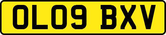 OL09BXV