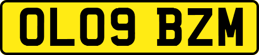 OL09BZM