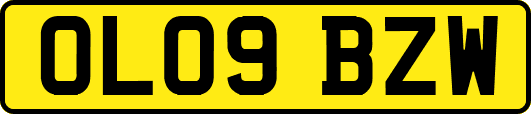 OL09BZW