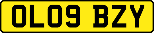 OL09BZY