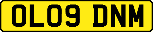 OL09DNM