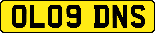 OL09DNS