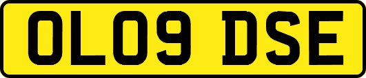 OL09DSE