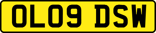 OL09DSW