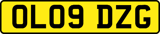 OL09DZG