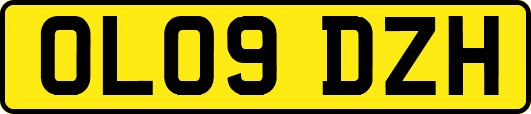 OL09DZH