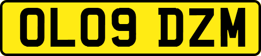 OL09DZM