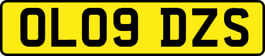 OL09DZS