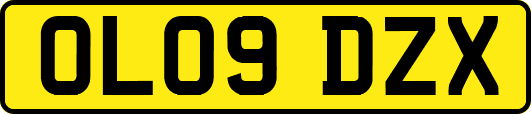 OL09DZX