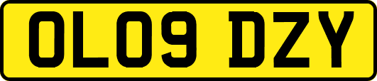 OL09DZY