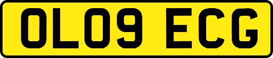 OL09ECG