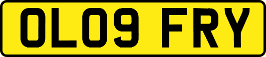 OL09FRY