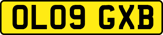 OL09GXB