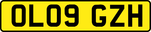 OL09GZH