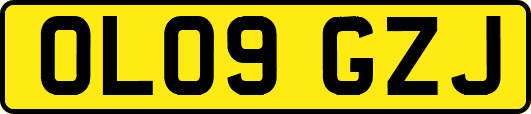 OL09GZJ