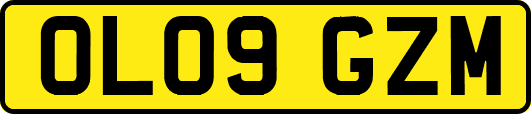 OL09GZM