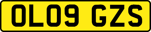 OL09GZS