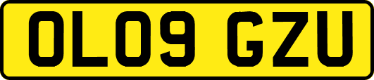 OL09GZU