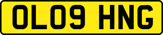 OL09HNG