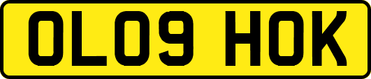 OL09HOK