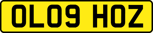OL09HOZ
