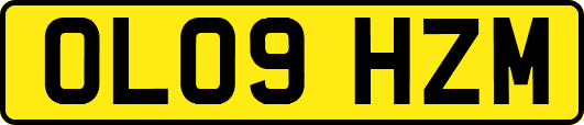 OL09HZM