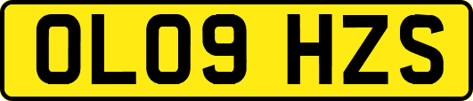 OL09HZS