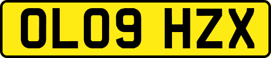 OL09HZX