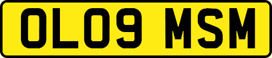 OL09MSM